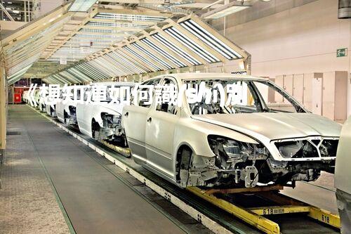 《想知道如何識(shí)別?；?？快來(lái)瞧一瞧》